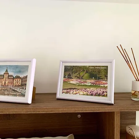 Oltenia Decebal Craiova