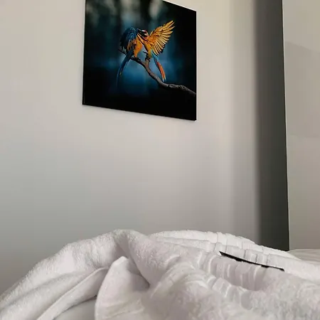 Apartment Oltenia Decebal