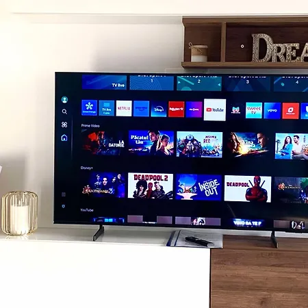 Oltenia Decebal * Craiova