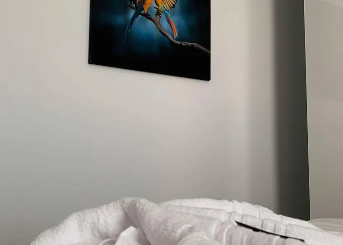 Apartment Oltenia Decebal