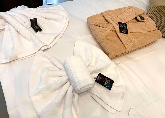 Oltenia Decebal * Craiova